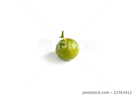Kumquat on white background 22363912