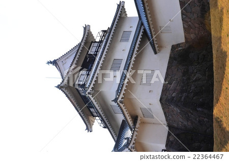 Nagaoka City Regional Museum (Nagaoka City) 22364467