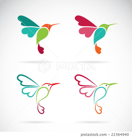 Vector image of an hummingbird design Vector image of an hummingbird design 22364940