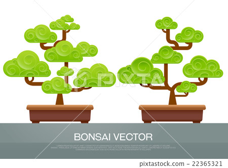 bonsai bonsai 22365321