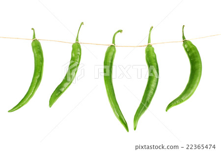 Tied chili peppers isolated Tied chili peppers isolated 22365474