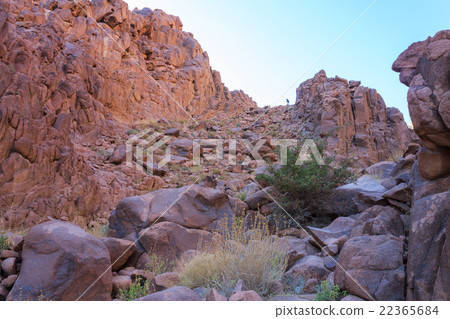 Trail to Mount Moses 22365684