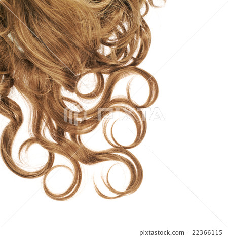 Hair fragment over the white 22366115