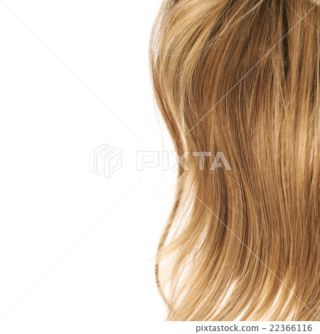Hair fragment over the white 22366116
