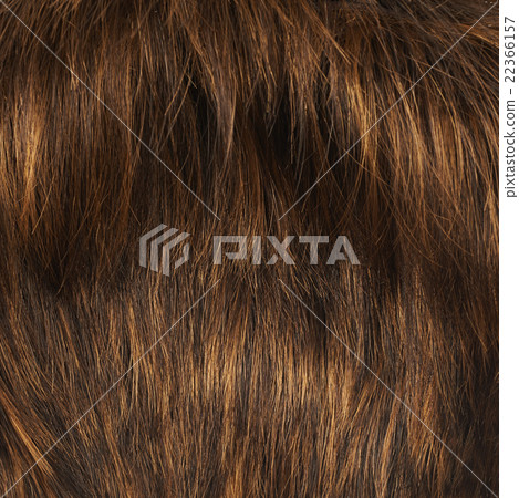 Hair fragment as a background composition 22366157