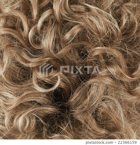 Hair fragment as a background composition 22366159