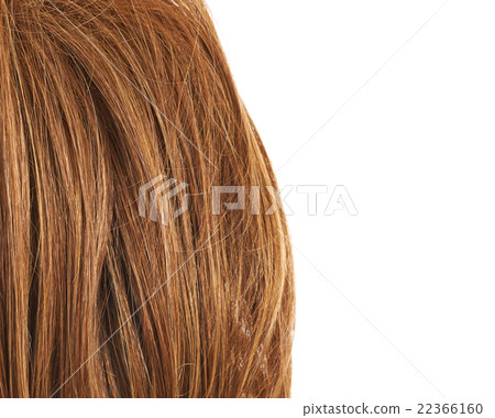 Hair fragment over the white 22366160
