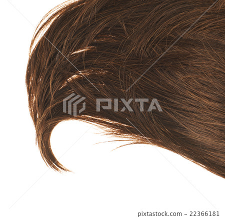 Hair fragment over the white 22366181