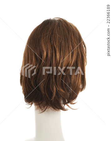 Hair wig over the mannequin head 22366189