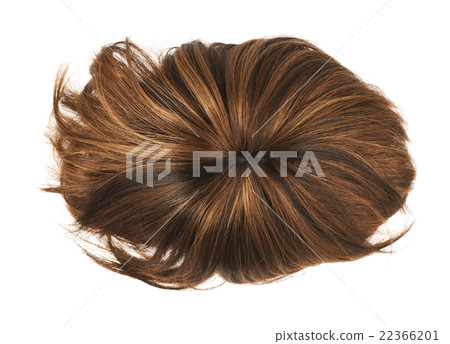 Hair wig isolated 22366201