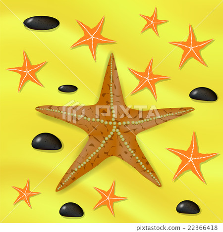 Plenty of Cushion Starfish on a Sandy Ocean Floor. Plenty of Cushion Starfish on a Sandy Ocean Floor. 22366418