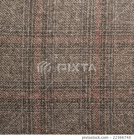Tweed jacket fragment 22366748