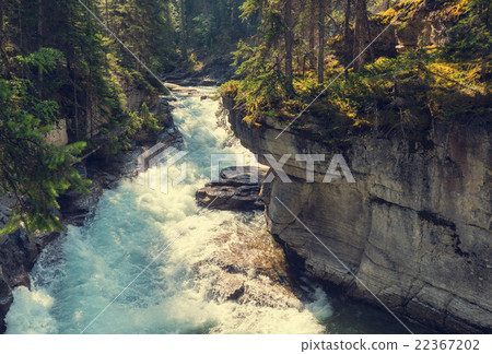 Canyon in Banff NP 22367202