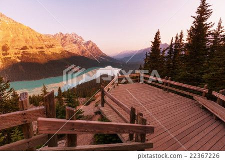 Peyto lake 22367226