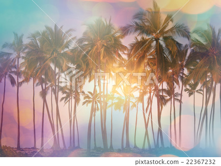 Tropical beach 22367232