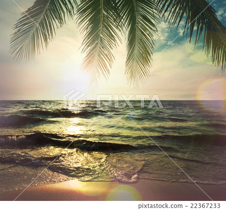 Tropical beach Tropical beach 22367233