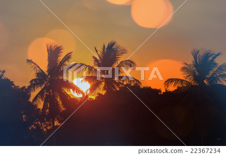 Tropical beach Tropical beach 22367234