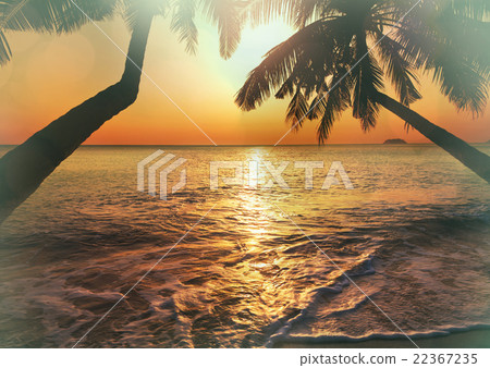 Tropical beach Tropical beach 22367235