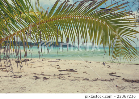 Tropical beach Tropical beach 22367236