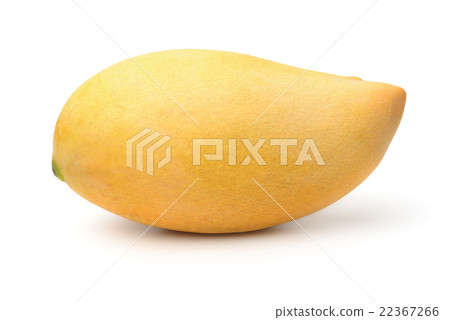 Mango fruit 22367266