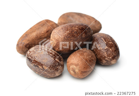 Nutmeg 22367275