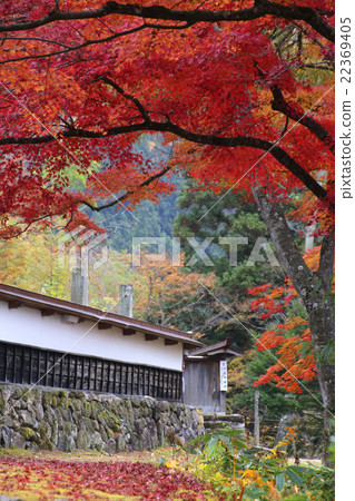 Fukuman in the autumn Takashi Kurugi Temple 22369405