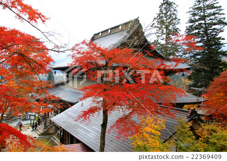 Fukuman in the autumn Takashi Kurugi Temple 22369409