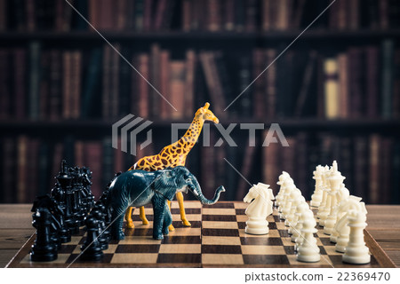 Chess image animals Chess image animals 22369470