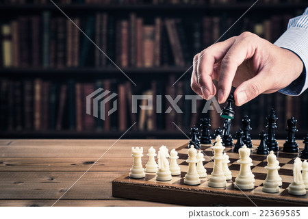象的圖像 象的圖像 22369585