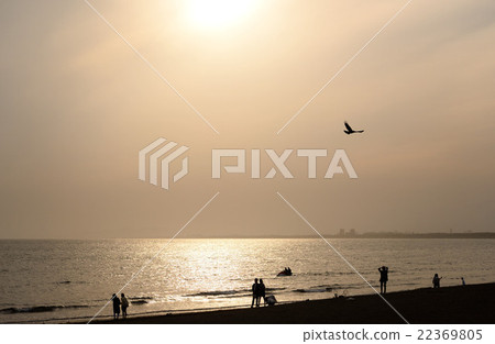 飛行在日落的海岸的鳥和人的陰影 22369805