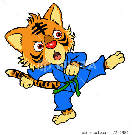 空手道小子 22369844