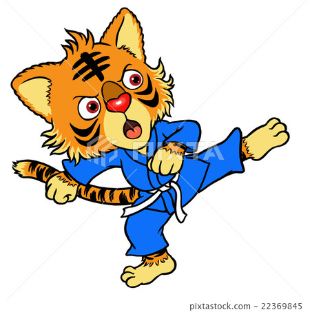 空手道小子 空手道小子 22369845