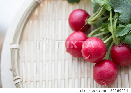 Fresh radish Fresh radish 22369954
