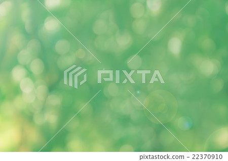 Spark and blow natural bokeh of tree in romantic soft abstract l 22370910