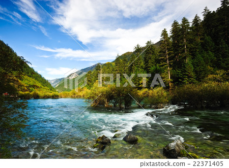 forest and mountain reflecting in a lake 22371405
