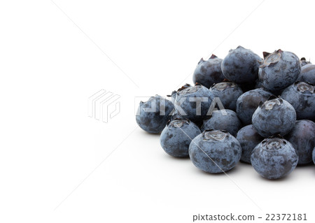 藍莓(類別:明星):藍莓(cv.Star) 藍莓(類別:明星):藍莓(cv.Star) 22372181