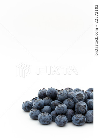 Blueberry (Category: Star): Blueberry (cv. Star) 22372182