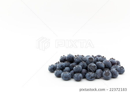 藍莓（類別：明星）：藍莓（cv.Star） 22372183