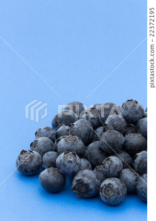 Blueberry (Category: Star): Blueberry (cv. Star) 22372195