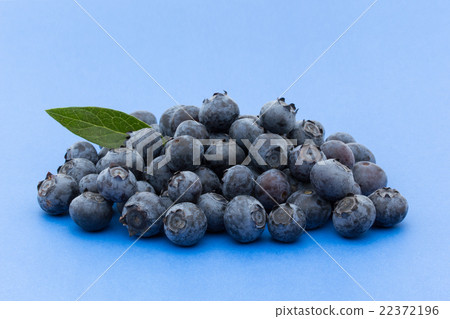 藍莓（類別：明星）：藍莓（cv.Star） 22372196