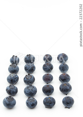 藍莓(類別:明星):藍莓(cv.Star) 藍莓(類別:明星):藍莓(cv.Star) 22372202