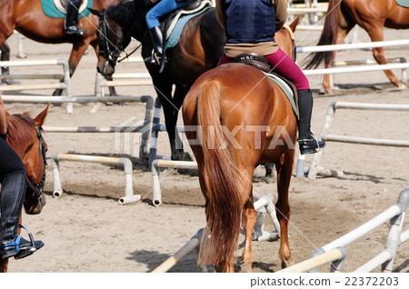 horse riding  22372203