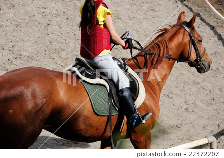 horse riding horse riding 22372207