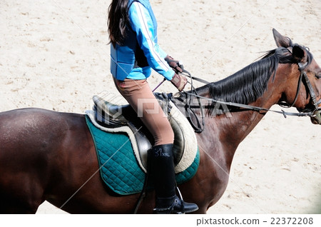 horse riding horse riding 22372208