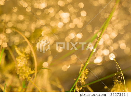 Golden sunlights on blue water background. Golden sunlights on blue water background. 22373314