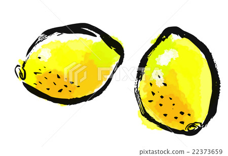 刷塗蔬菜水果檸檬 22373659