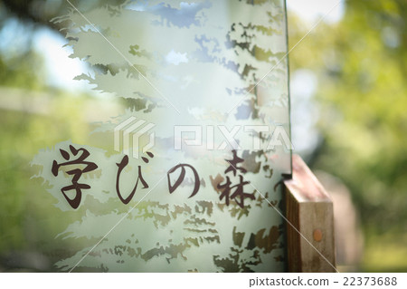 學習的森林 學習的森林 22373688