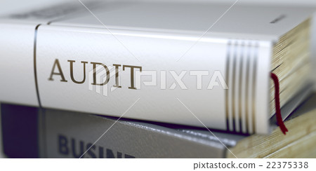 Audit. Book Title on the Spine. Audit. Book Title on the Spine. 22375338