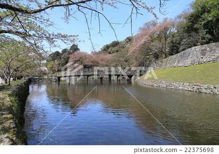 在彥根城堡的Uchibori的Otemon橋樑 22375698