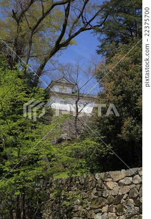 查找從Hikone城堡門附近的平衡武器 22375700